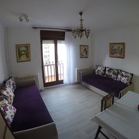 Violet Star Apartment Нови-Сад Экстерьер фото